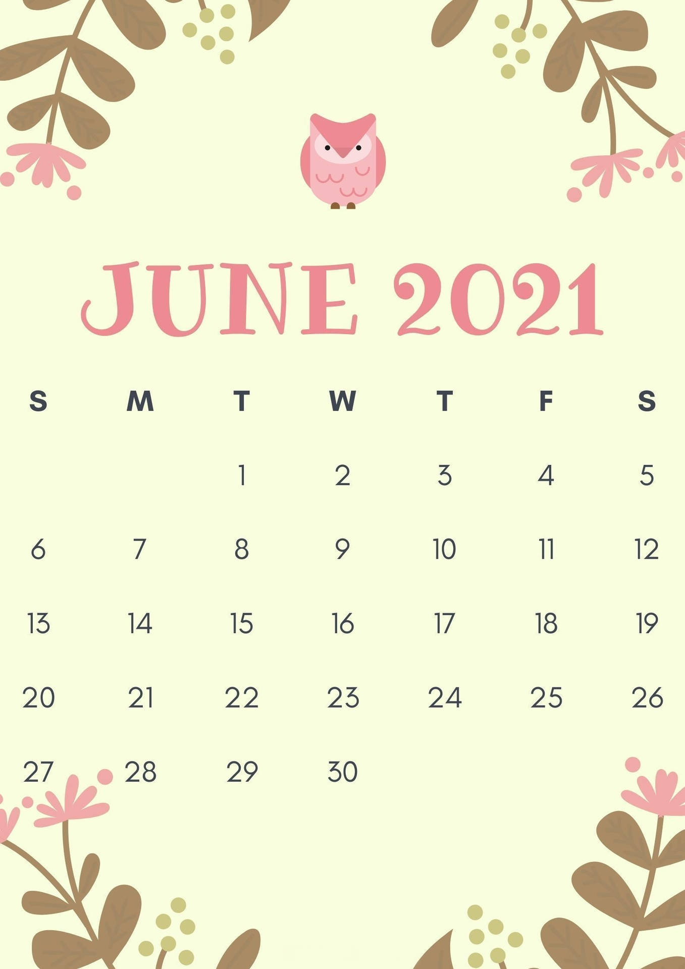 Cool June 2021 Calendar Picture