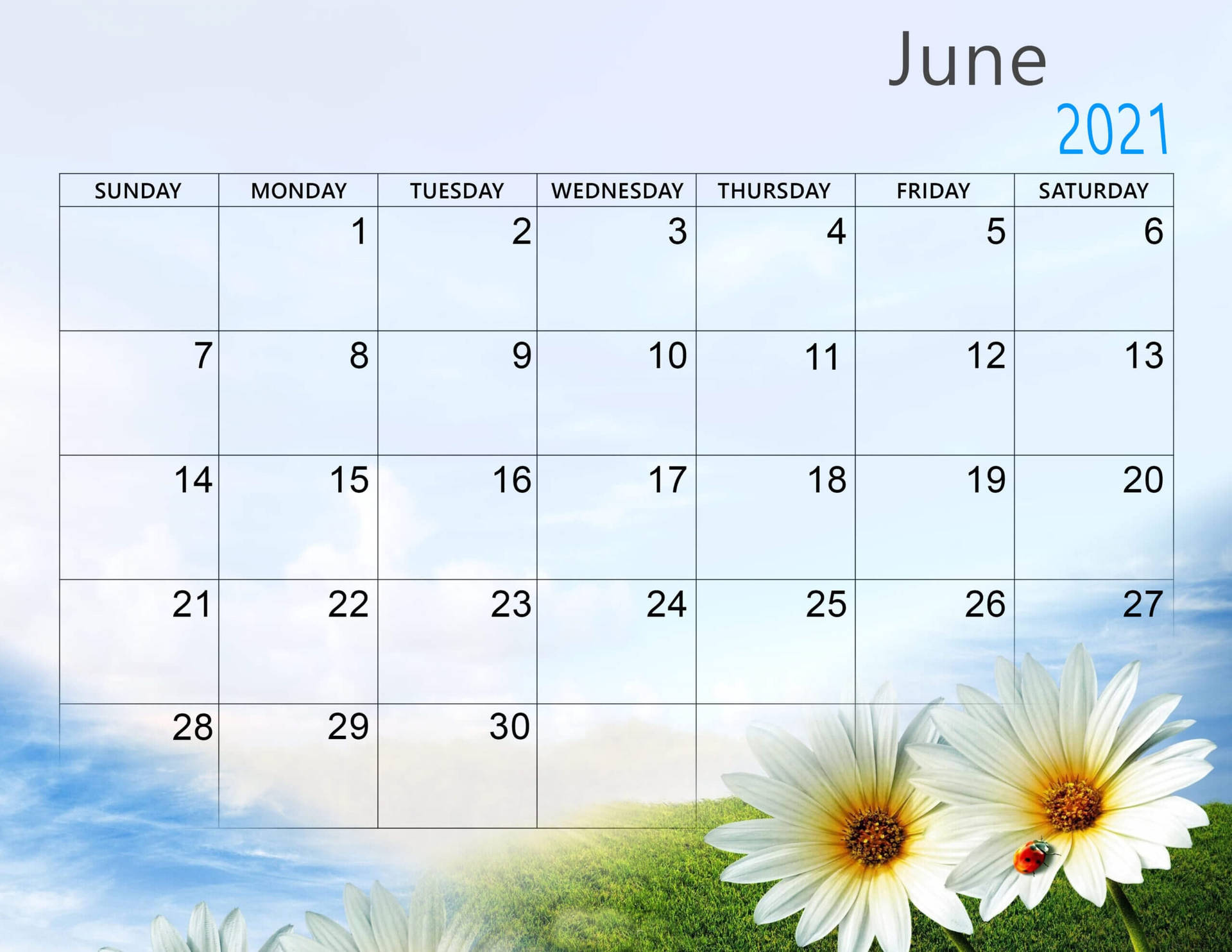 Calendariode Junio De 2021. Fondo de pantalla