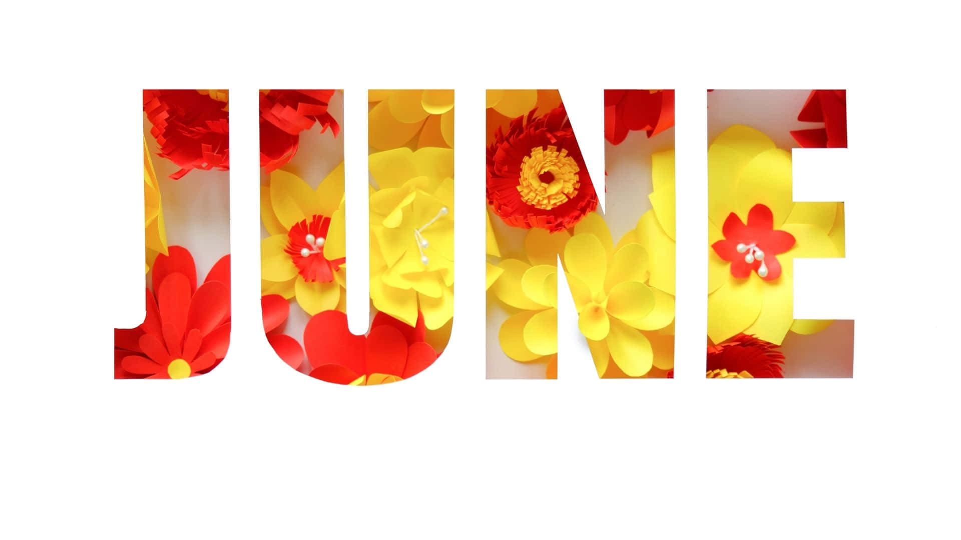 Celebrate the beauty of June