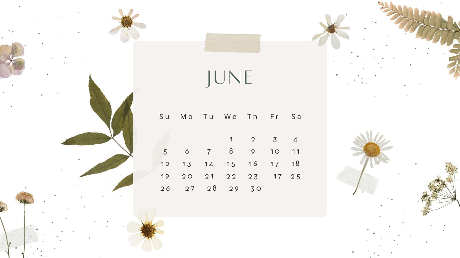June Calendar Floral Aesthetic Wallpaper