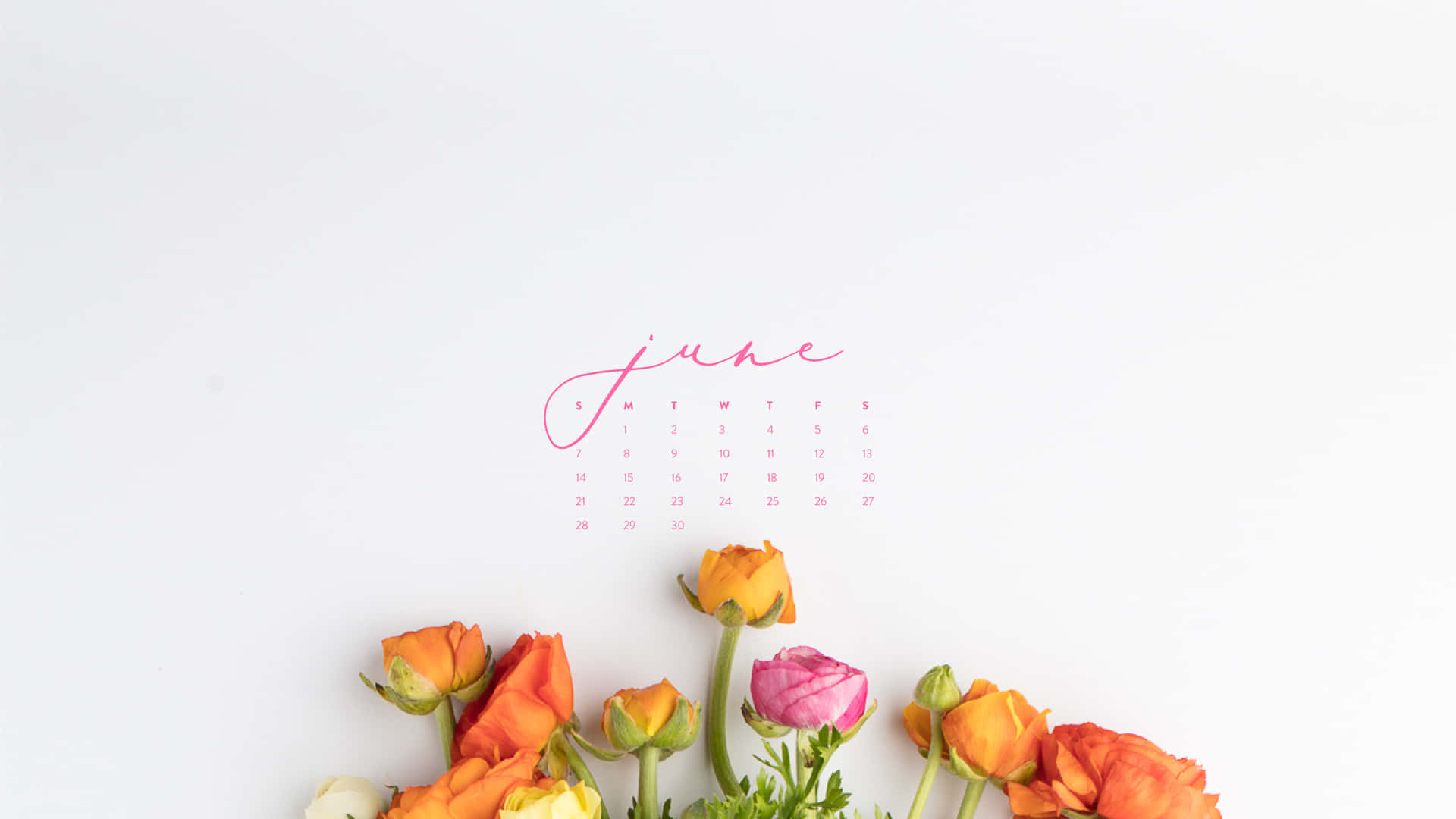 June Desktop Calendar Floral Theme Wallpaper