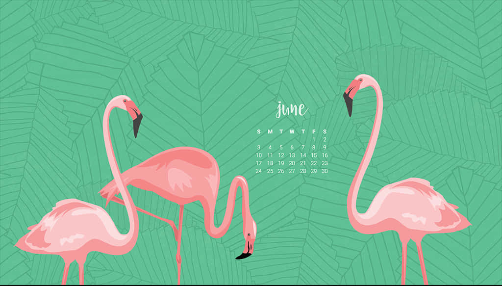 June Flamingo Calendar Wallpaper Wallpaper