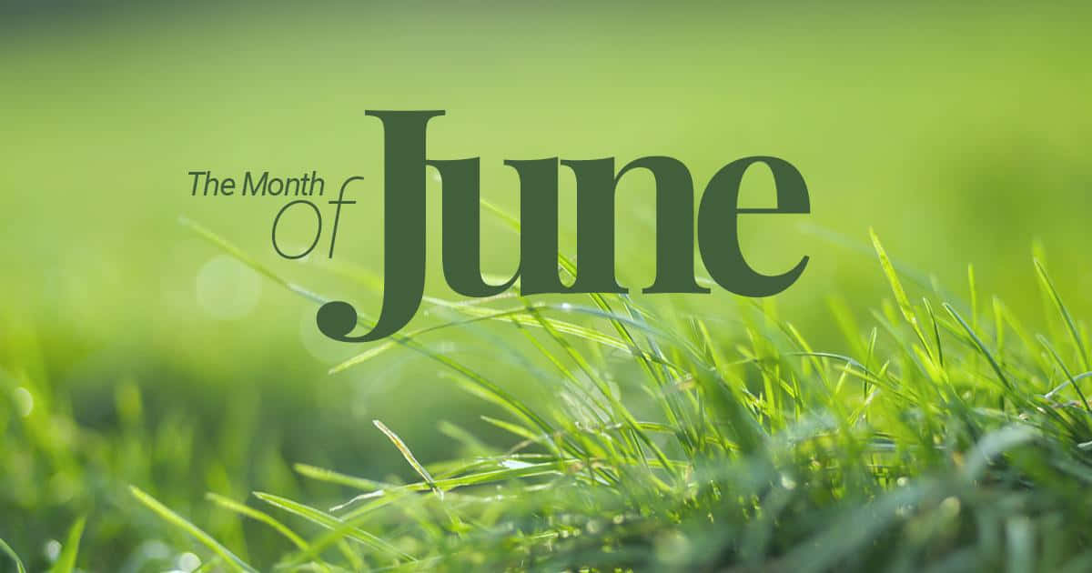June Month Grass Background Wallpaper