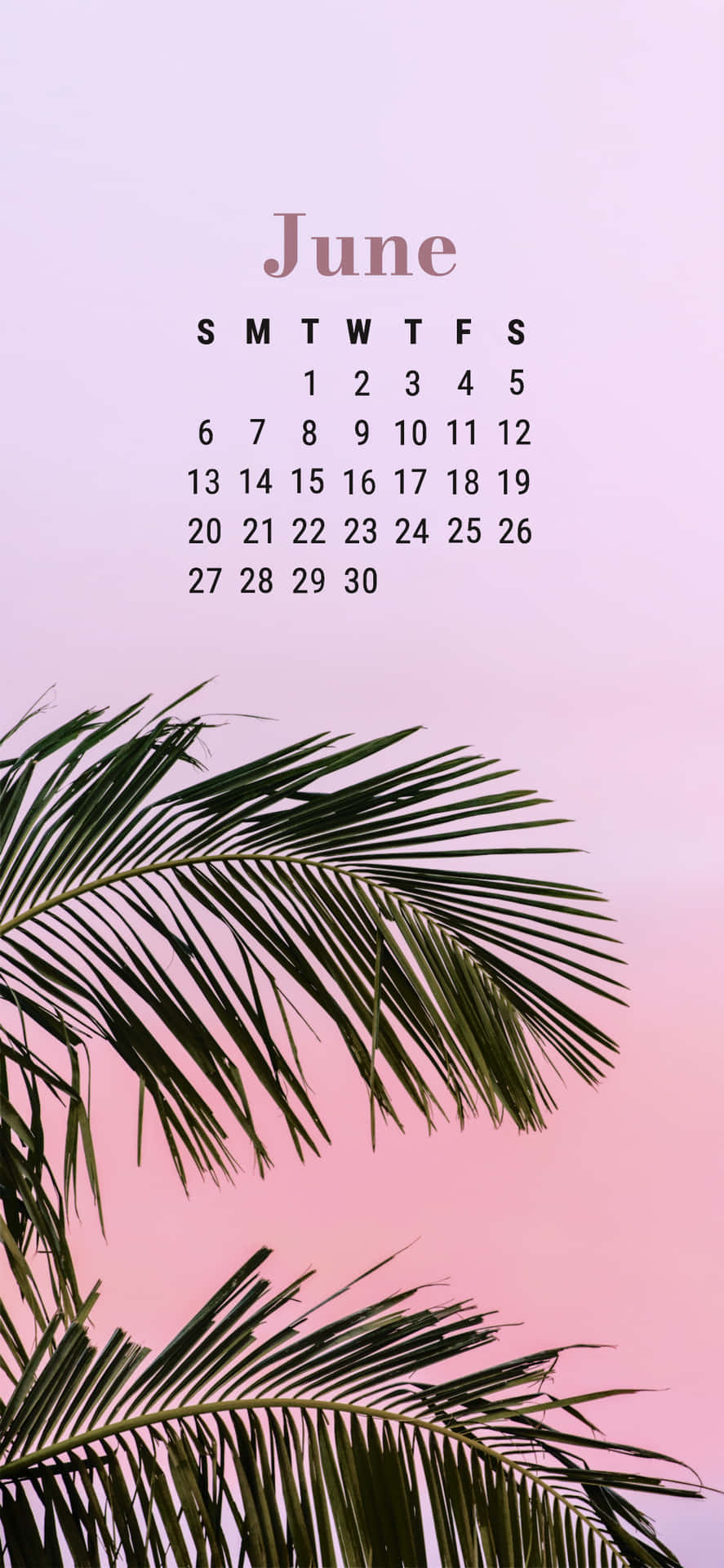 June Palm Calendar Aesthetic.jpg Wallpaper