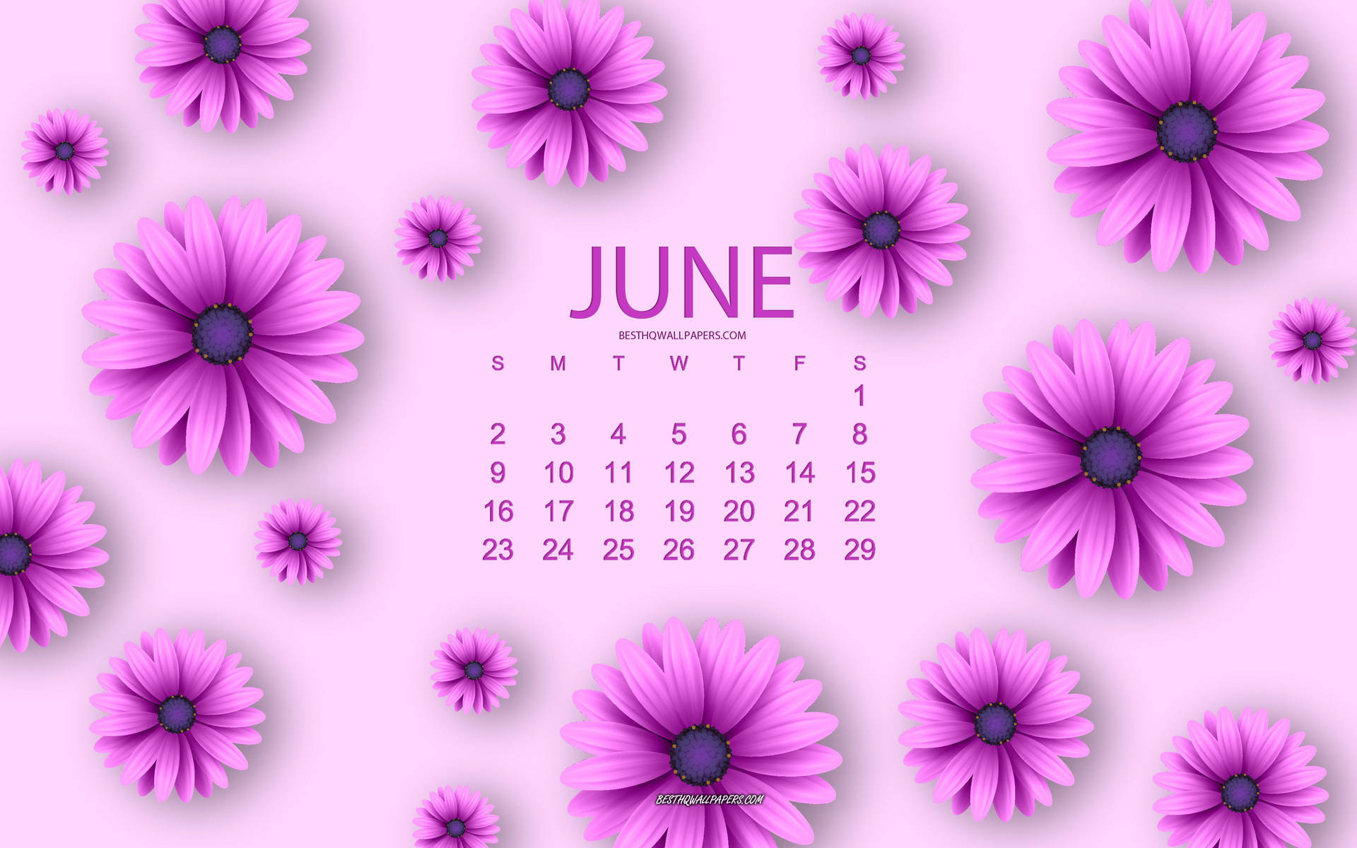 June Purple Flowers Digital Calendar