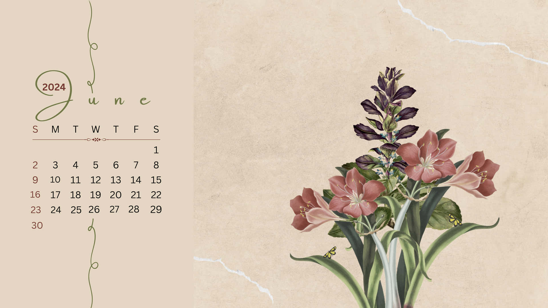 June2024 Floral Calendar Wallpaper Wallpaper