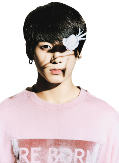 Jungkookin Pinkwith Flower PNG