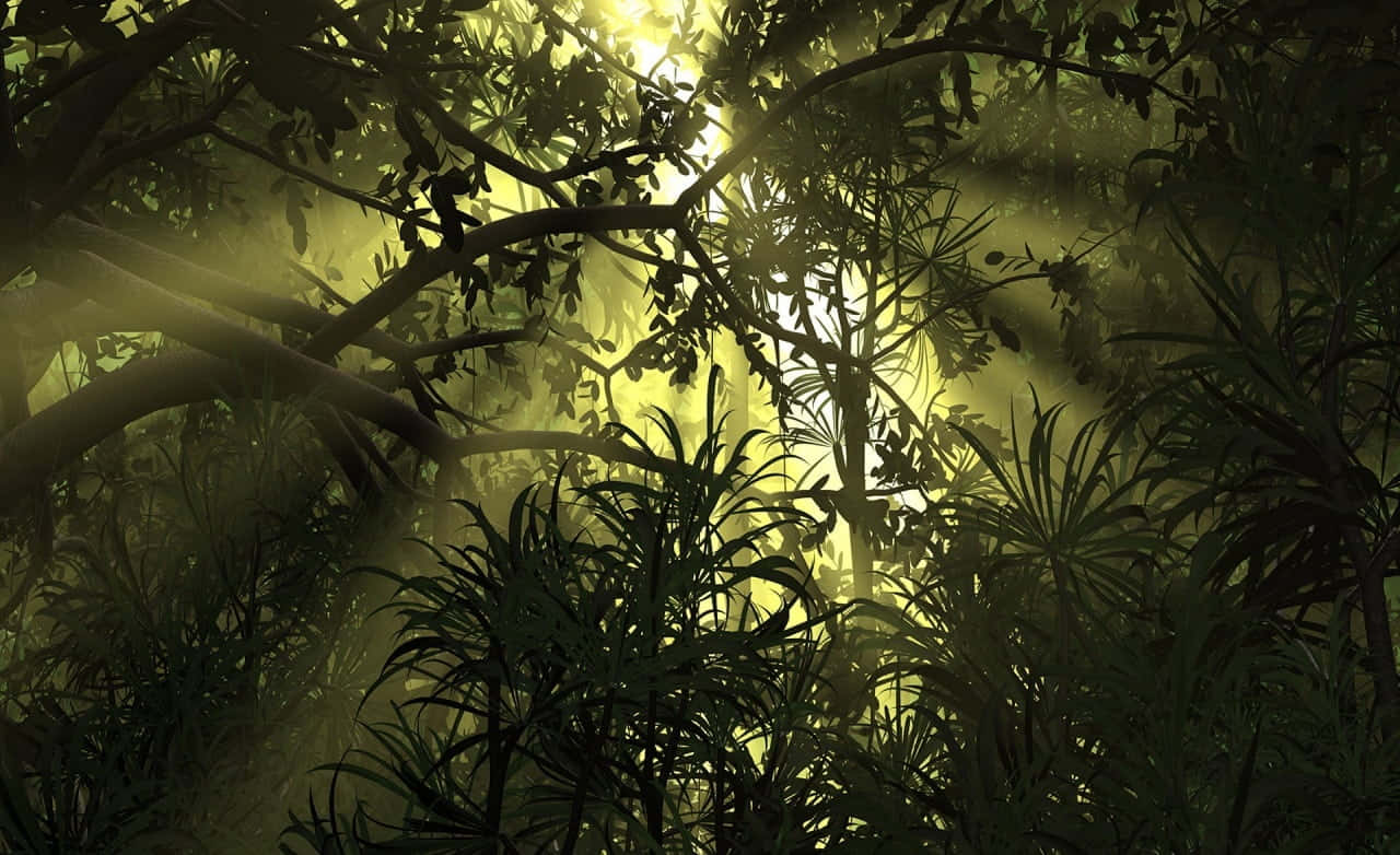 Dark Jungle And Light Rays Background