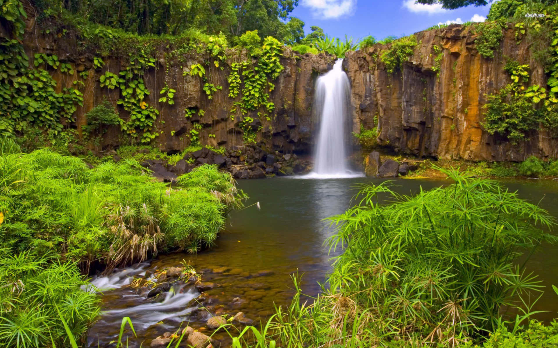 Waterfall In A Jungle Desktop Wallpaper