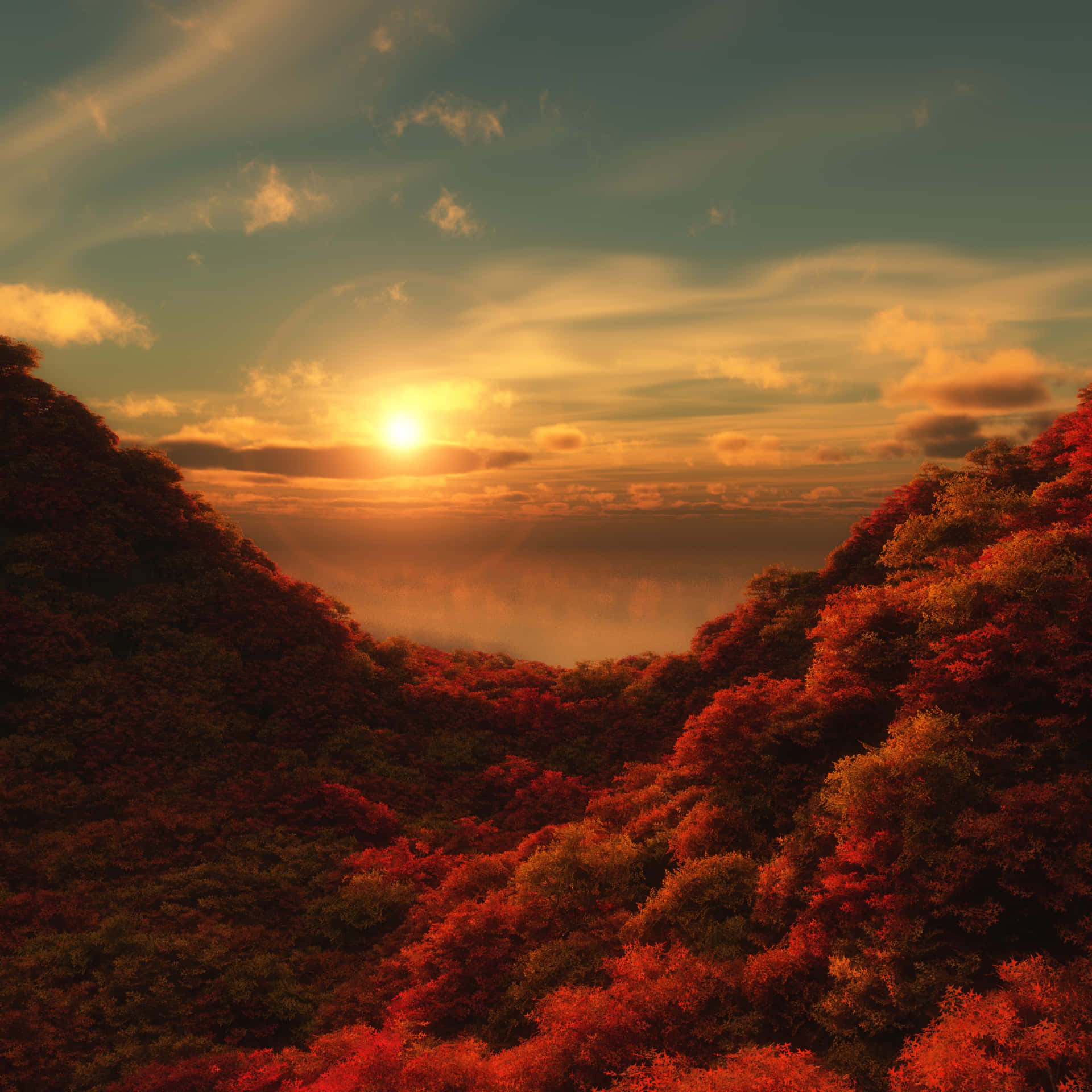 Orange-tinged Sunset In Jungle Desktop Wallpaper