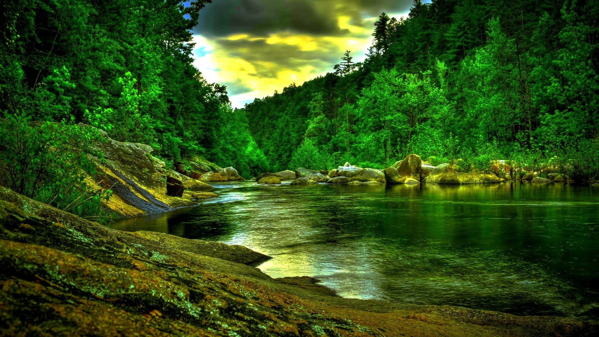 Calm River Of Jungle Desktop Wallpaper