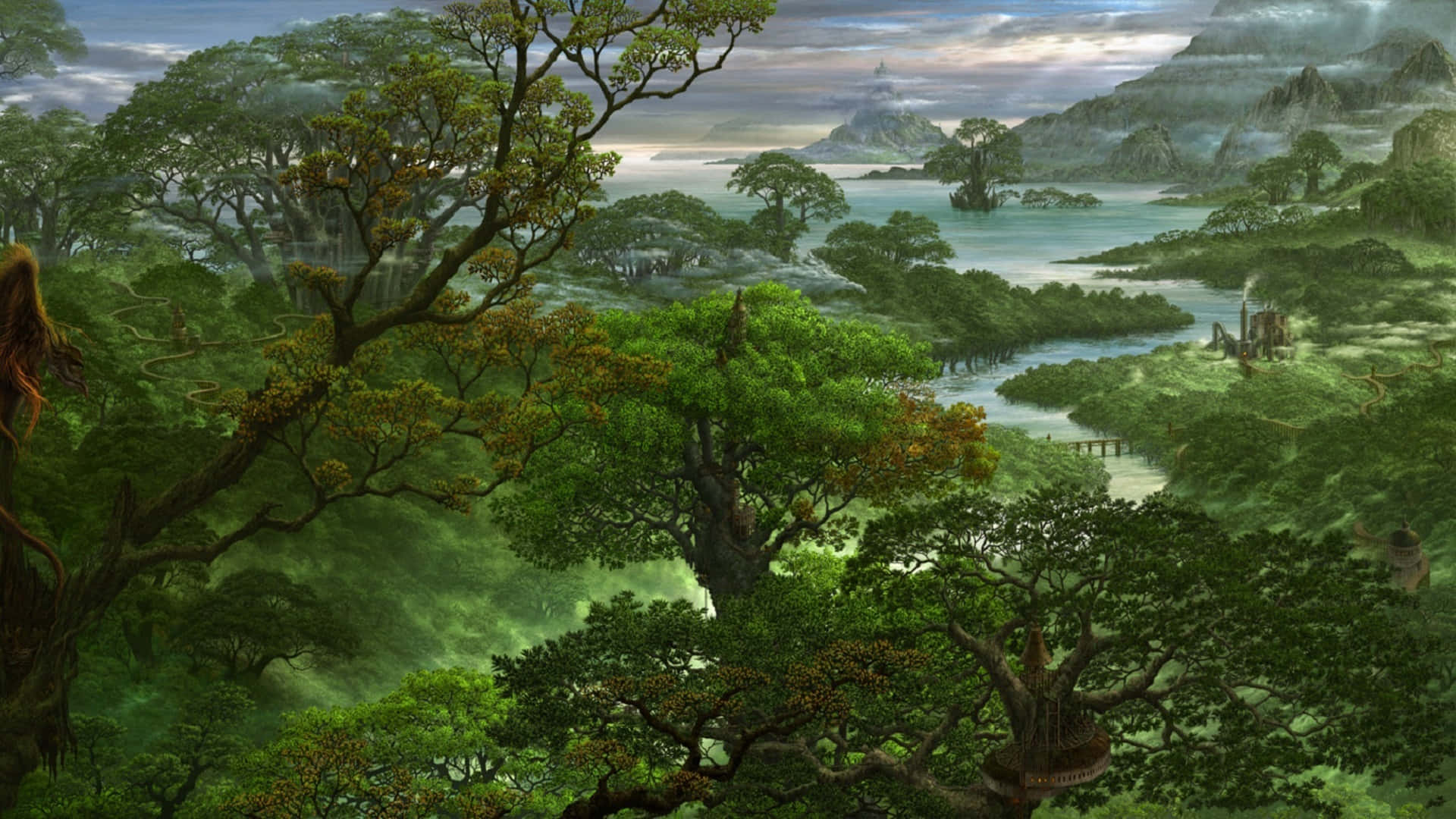 Wasserlandschaftim Dschungel - Desktop-hintergrund. Wallpaper