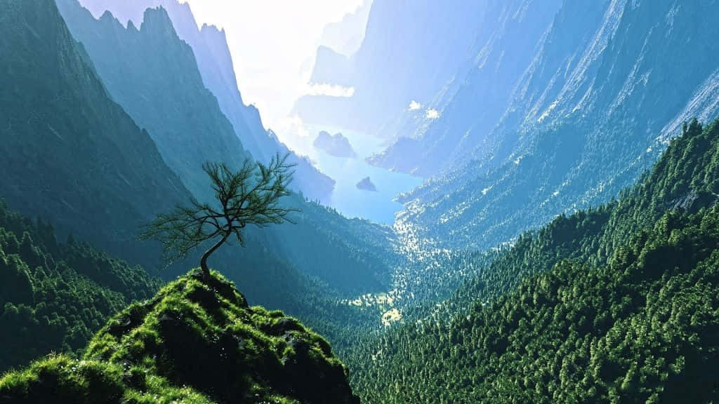 Blickauf Das Tal - Dschungelhintergrund Für Den Desktop Wallpaper