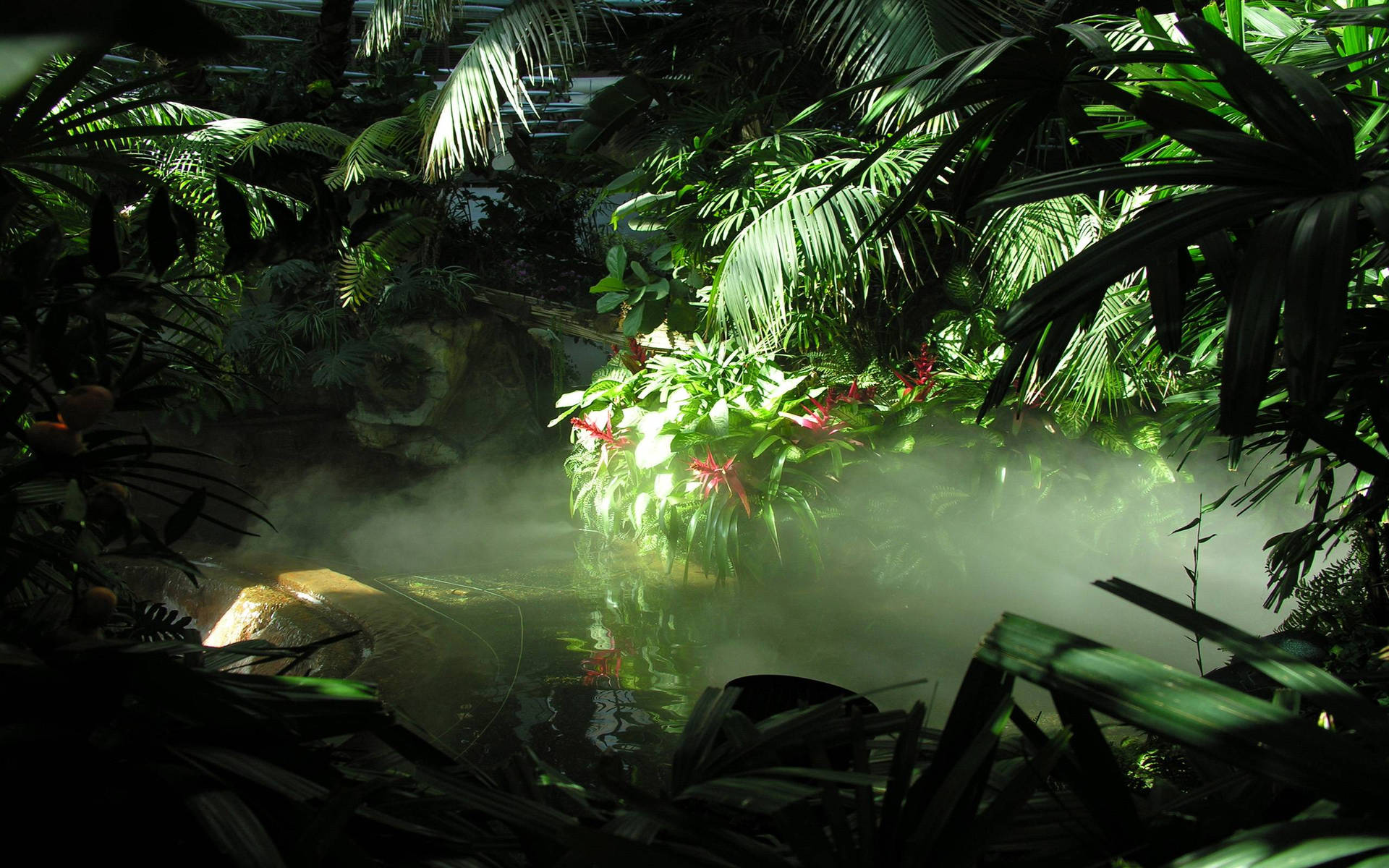 Take in the beauty of the enchanted Jungle! Wallpaper