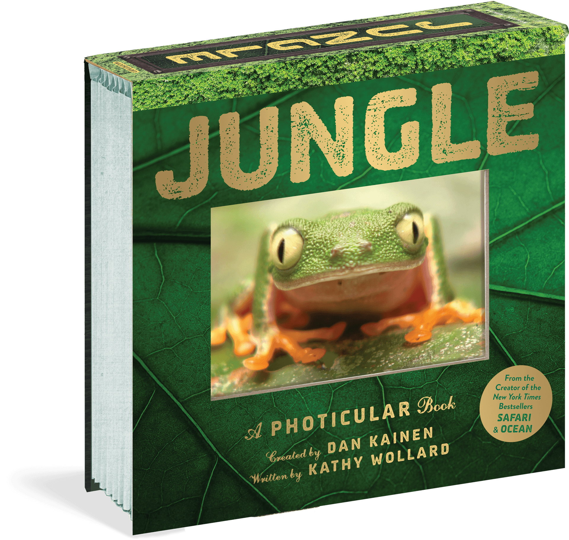 Jungle Photicular Book Cover PNG