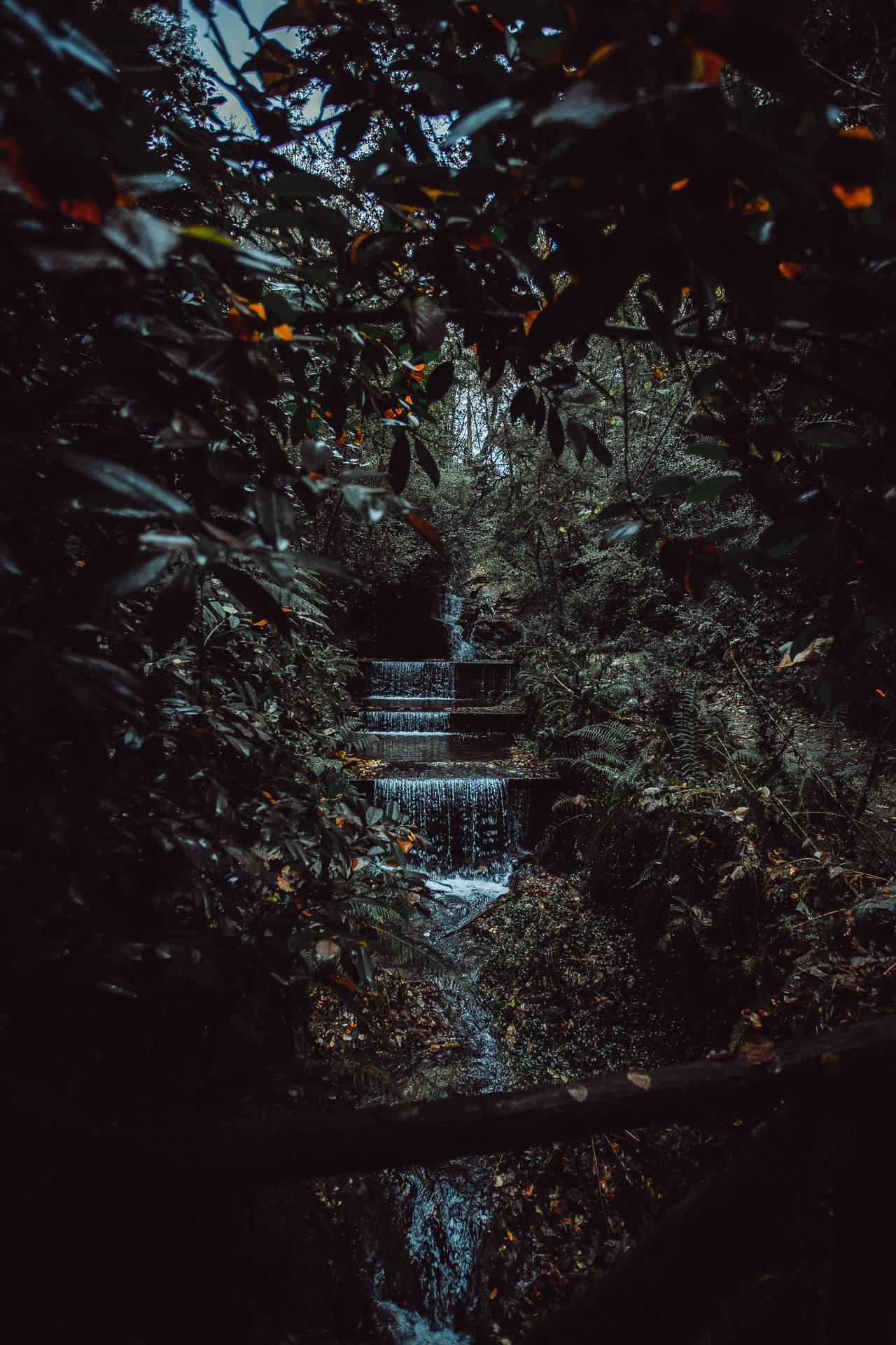 Jungle Waterfall Stream Wallpaper
