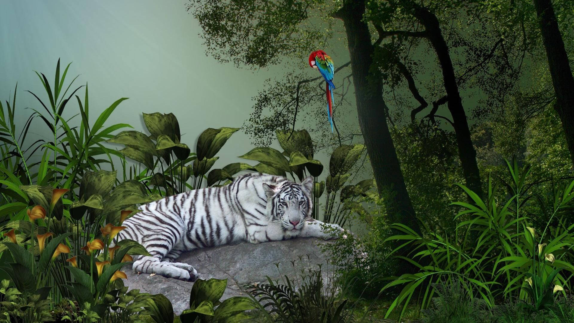 Jungle White Tiger And Macaw Wallpaper