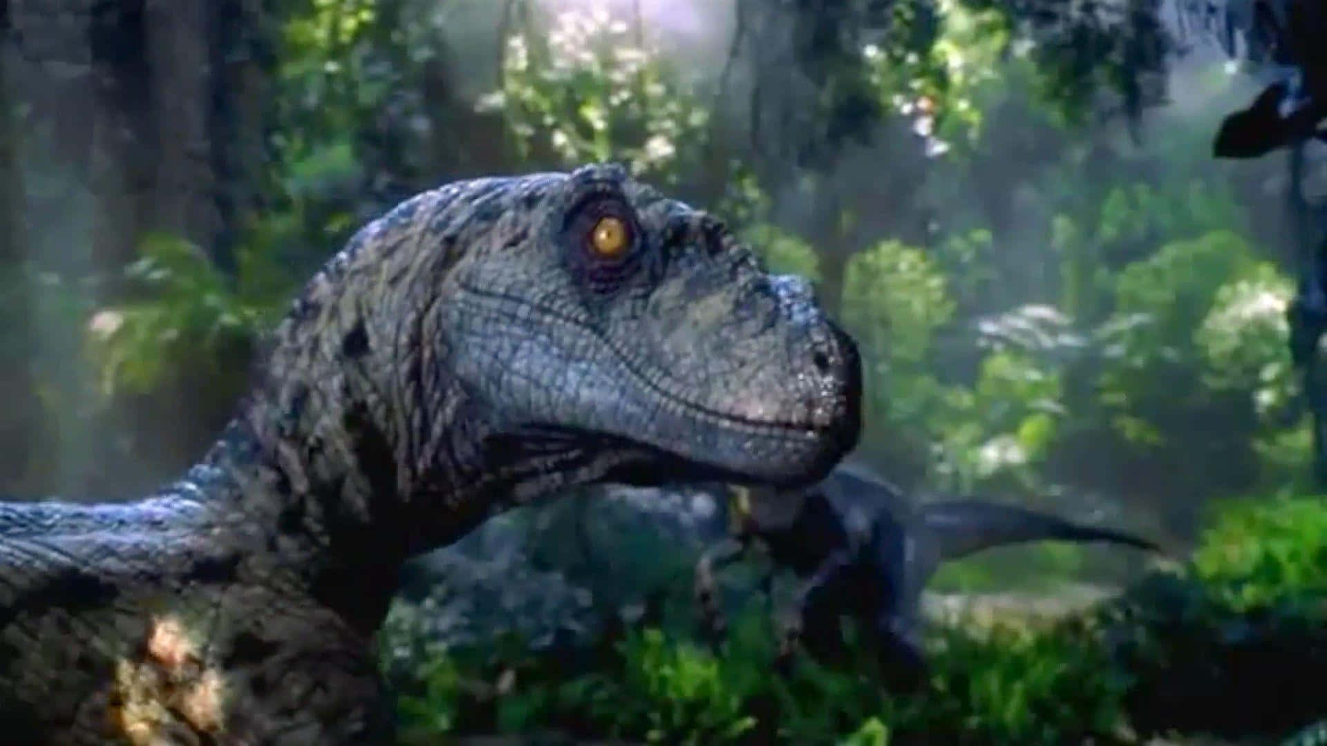 Vorsichtvor Dem Mächtigen T-rex Aus Jurassic Park!