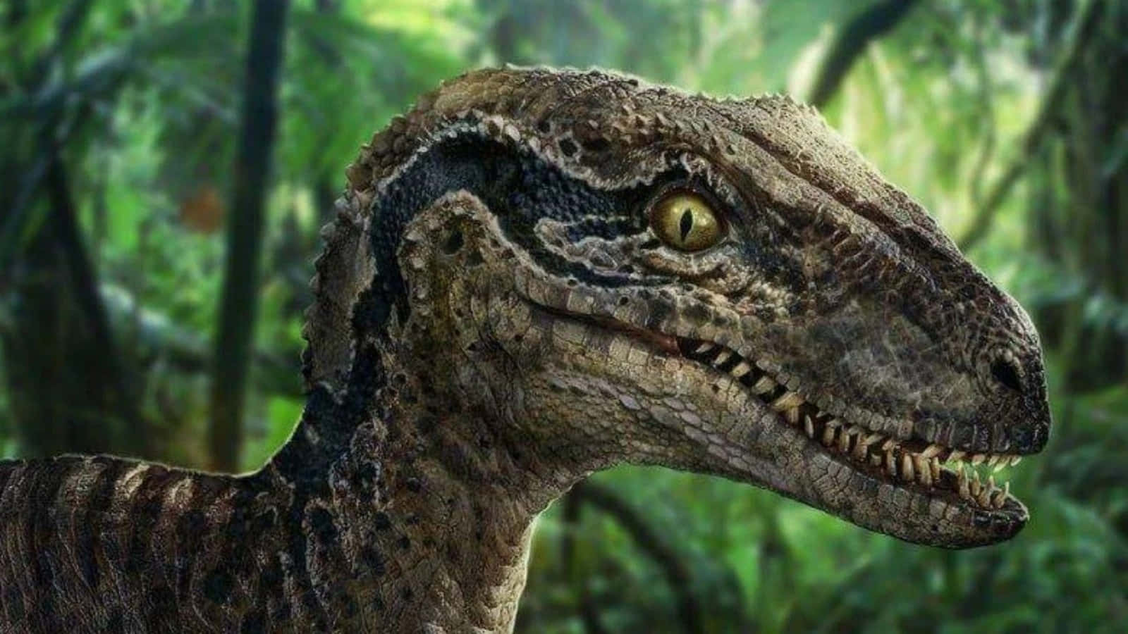 Einedinosaurier-attacke In Jurassic World