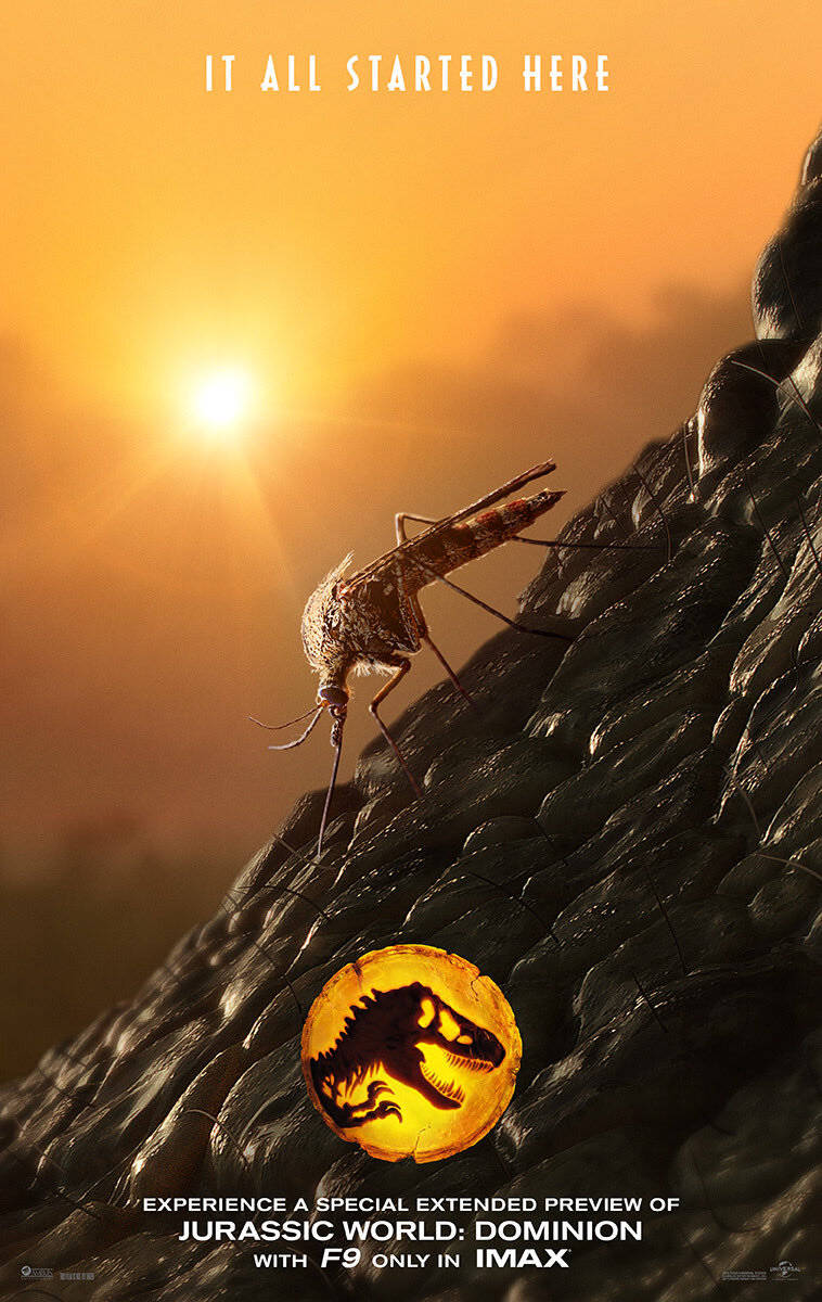 Caption: Jurassic World Dominion Mosquito Poster Unleashed Wallpaper