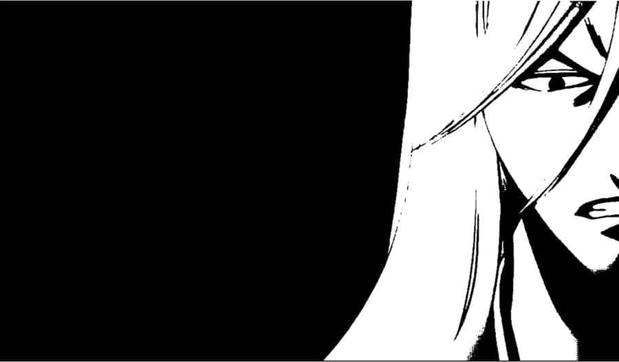 Jushiro Ukitake - The stalwart soul reaper from Bleach anime series, Wallpaper