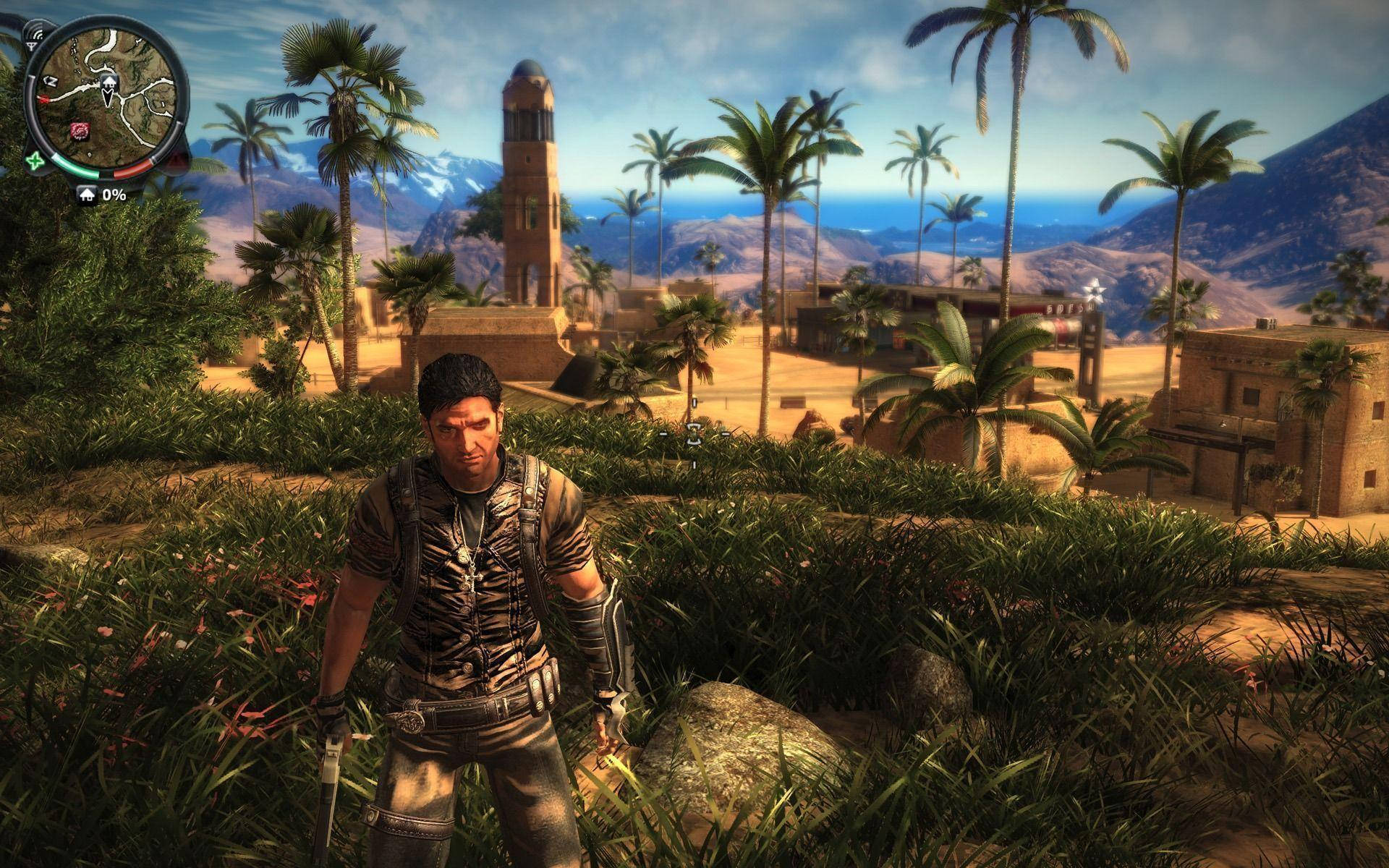 Just Cause 2 Palm Trees