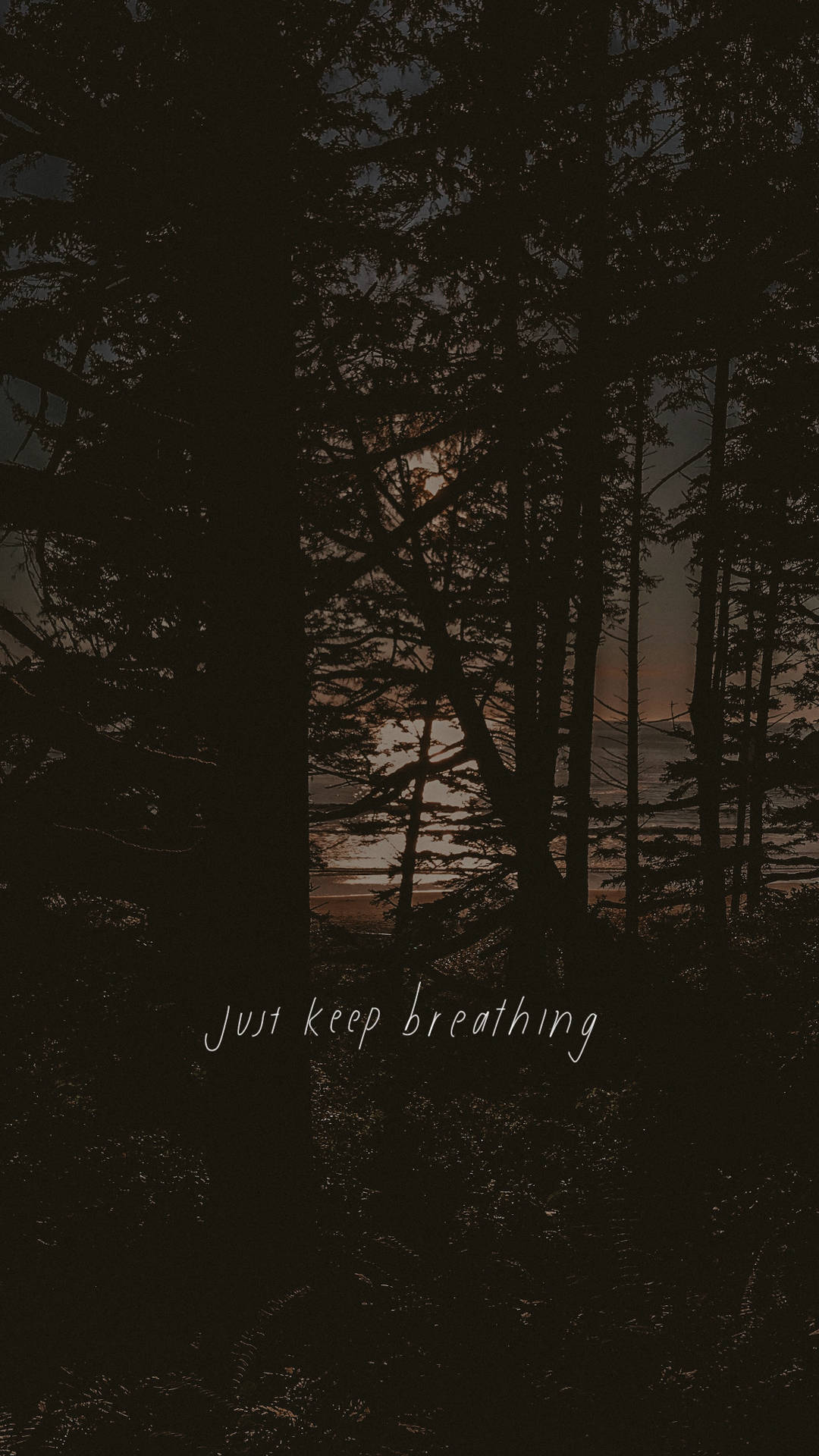 Just Keep Breathing Dark Forest Wallpaper