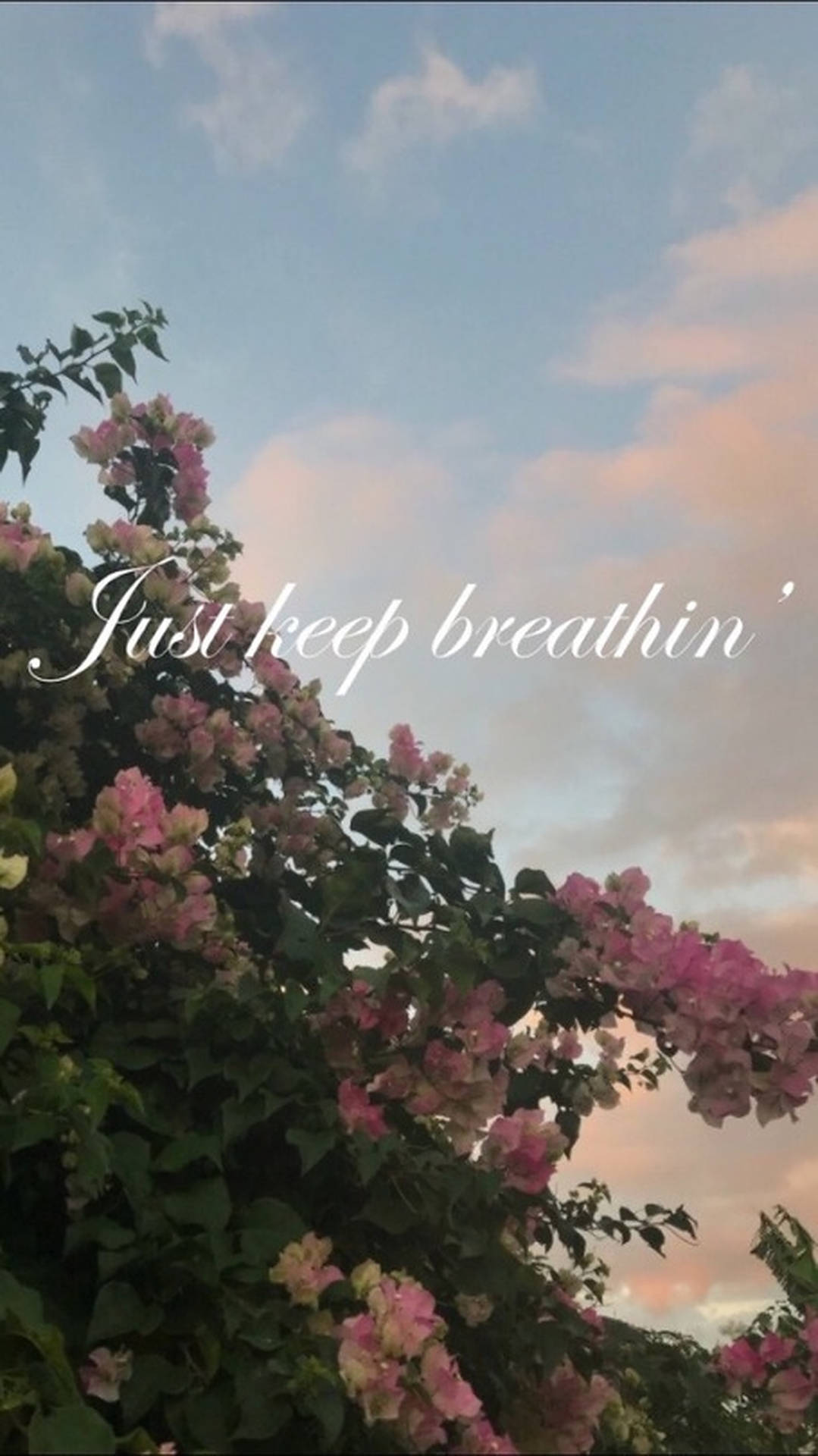 Just Keep Breathing Pink Flowers Wallpaper