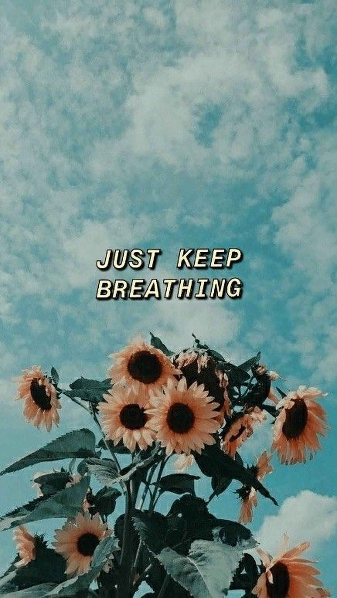 Just Keep Breathing Sunflowers Wallpaper