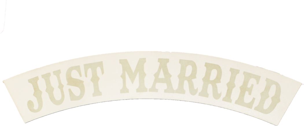 Just Married Banner PNG