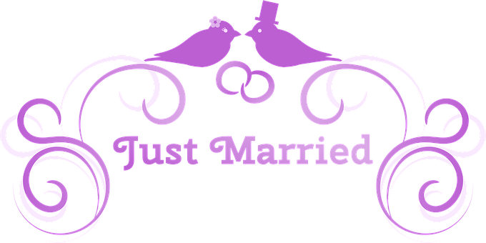 Just Married Birds Graphic PNG