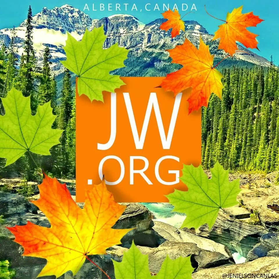 JWorg With Maples Leaves Wallpaper