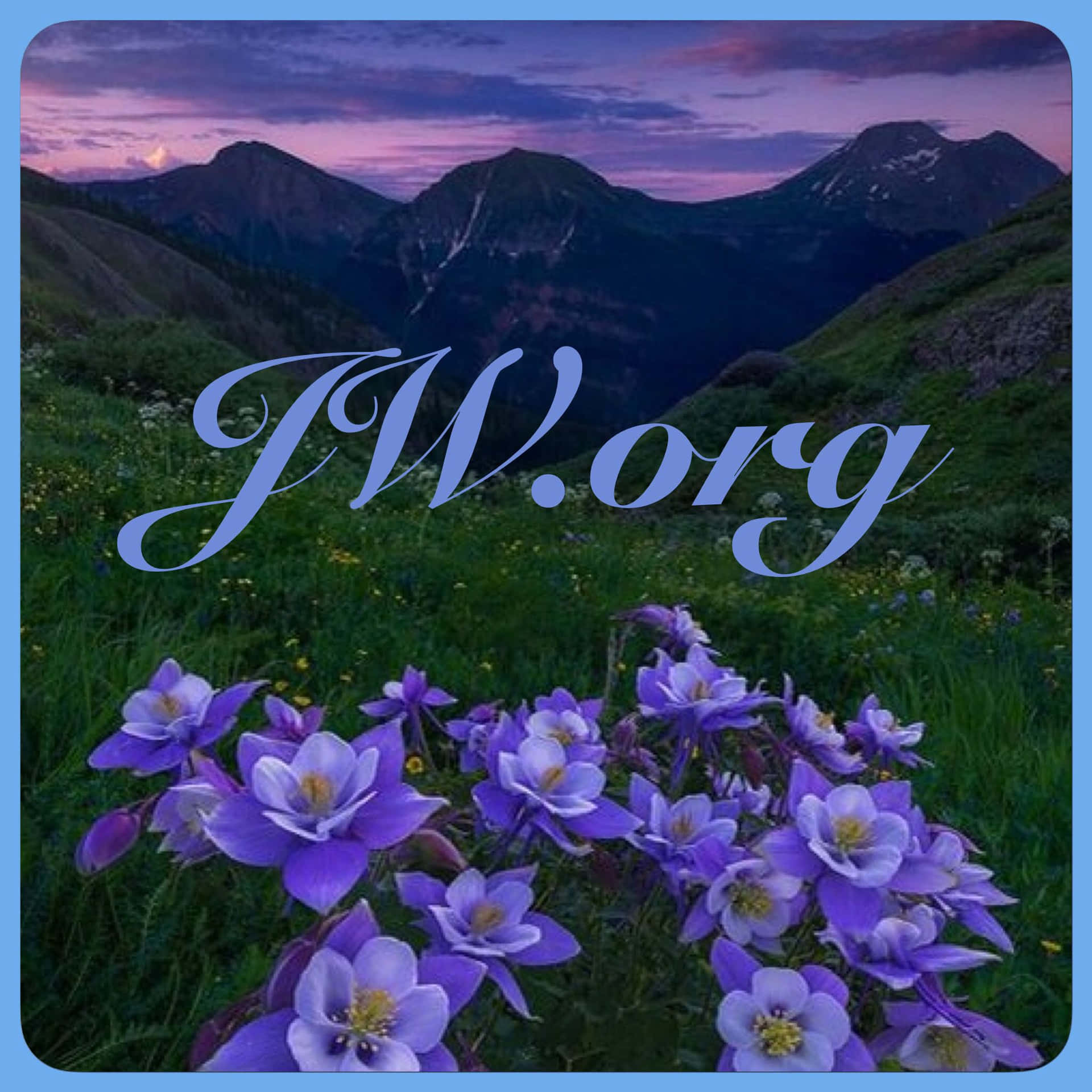 JWorg With Blue Flowers Wallpaper
