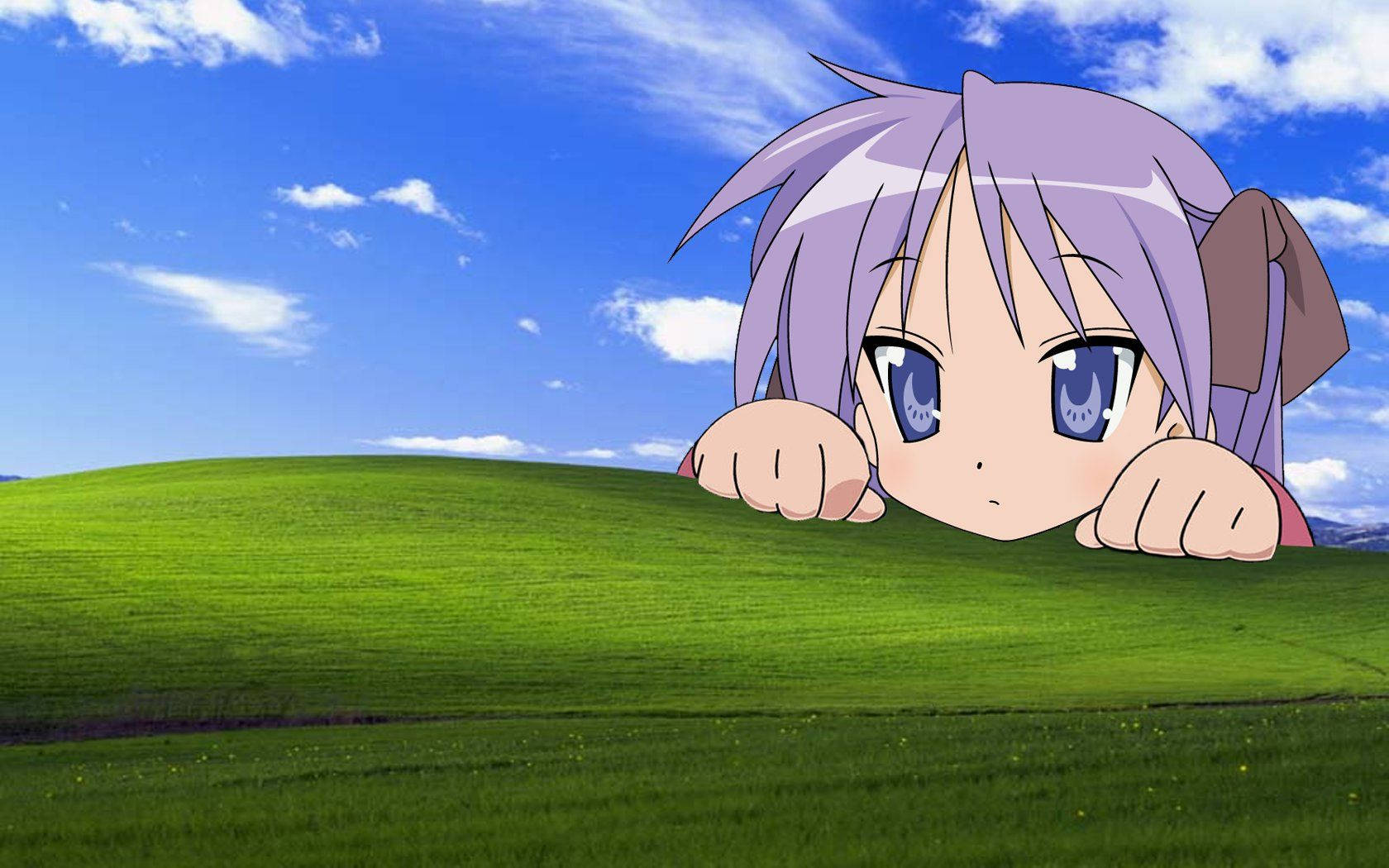 _ Blur Effects on Windows XP Background_ Wallpaper