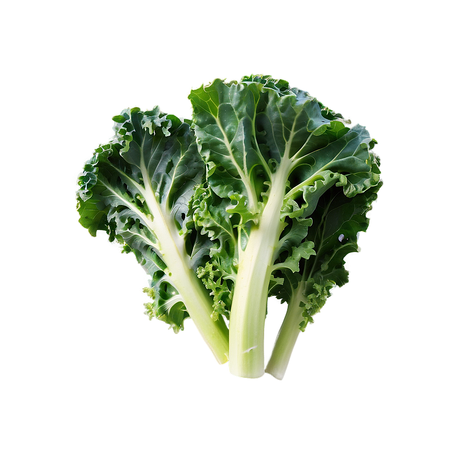 Kale A PNG