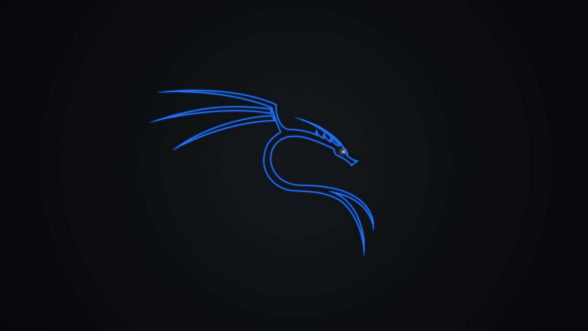 Kali Linux: The Preferred Choice For Ethical Hackers