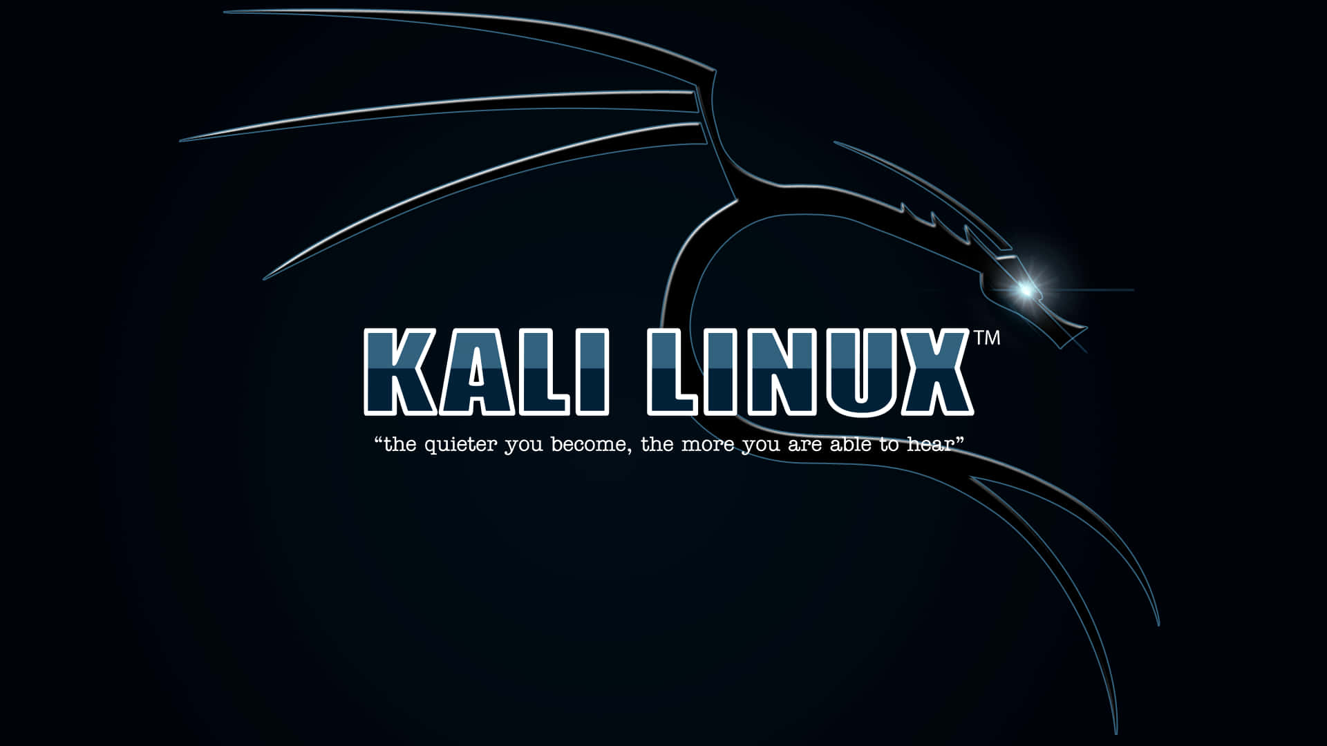 Introduktiontil Den Cyber-sikre Verden Ved Hjælp Af Kali Linux
