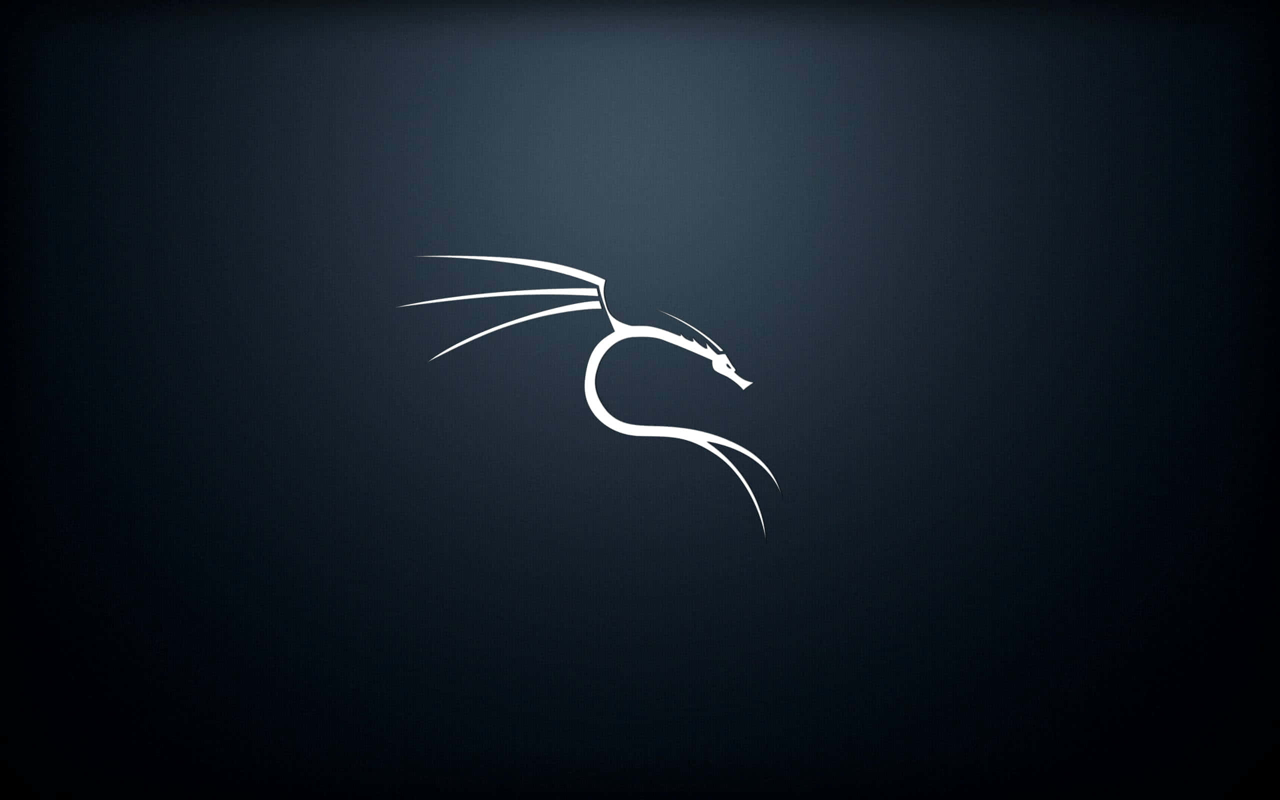 Diekraft Von Linux Enthüllen: Kali Linux