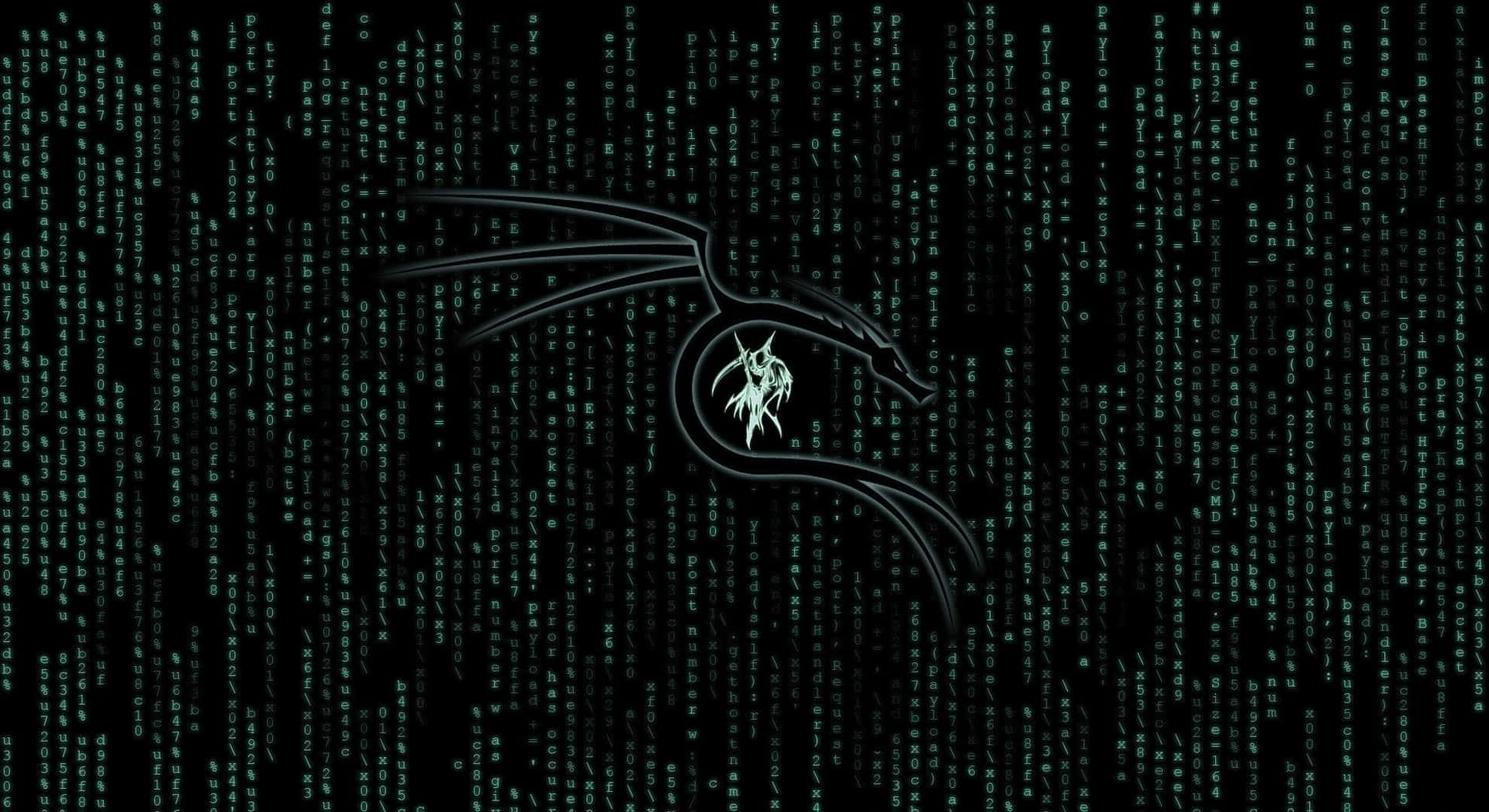 Explore the power of Kali Linux