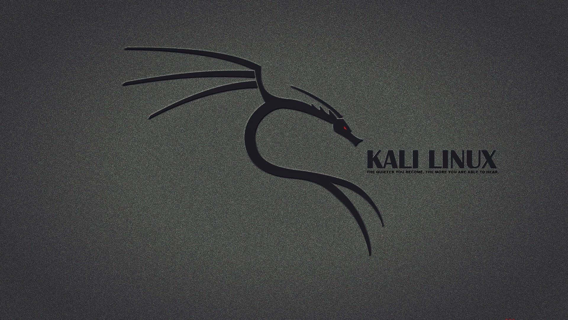 Etimponerende Billede Af Kali Linux' Grafiske Brugerflade.