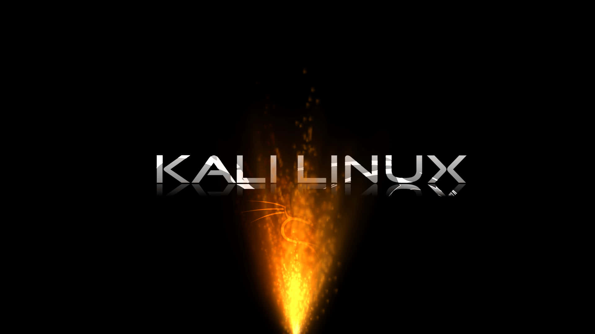 Kalilinux Tapeter - Tapeter Til Desktop
