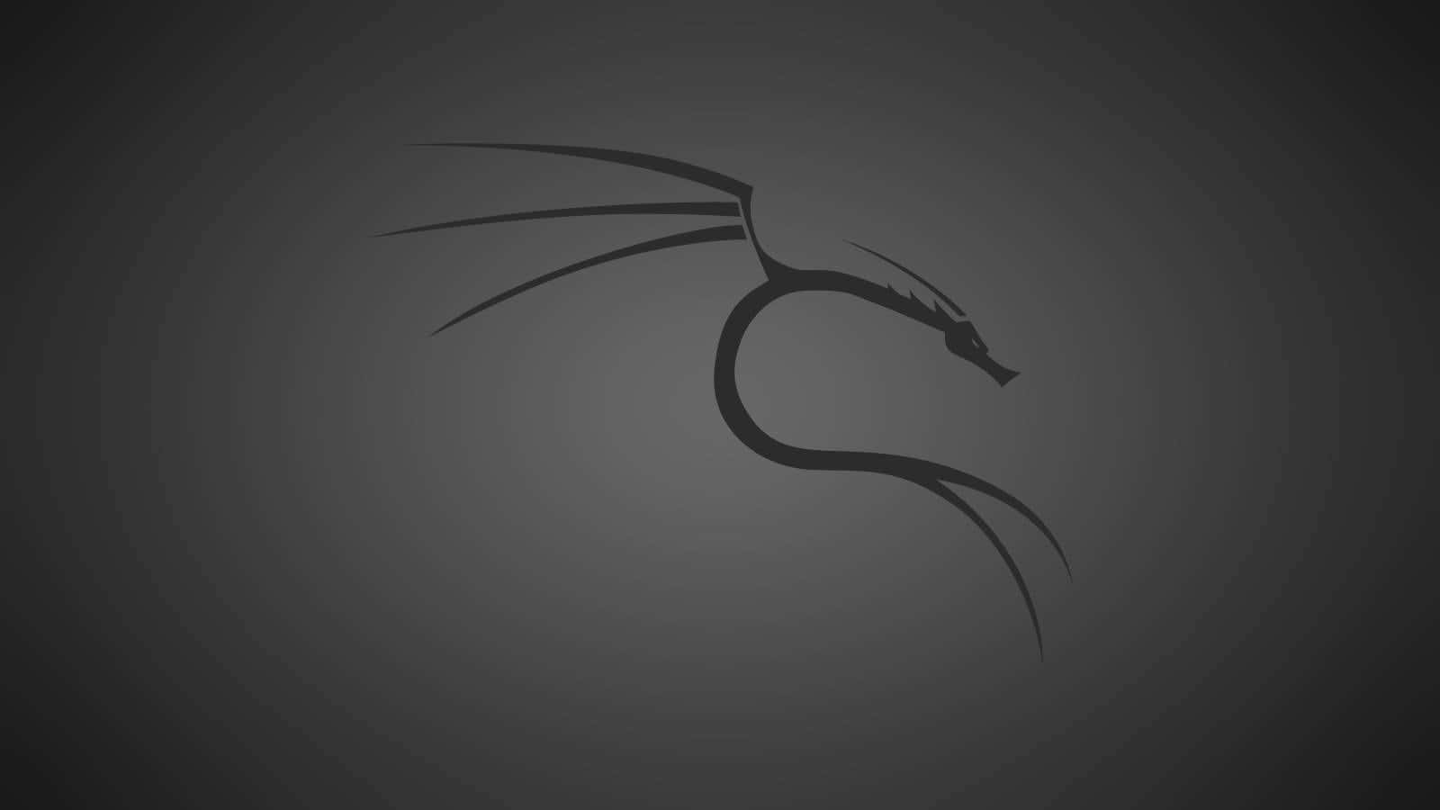 Deroffizielle Hintergrund Von Kali Linux