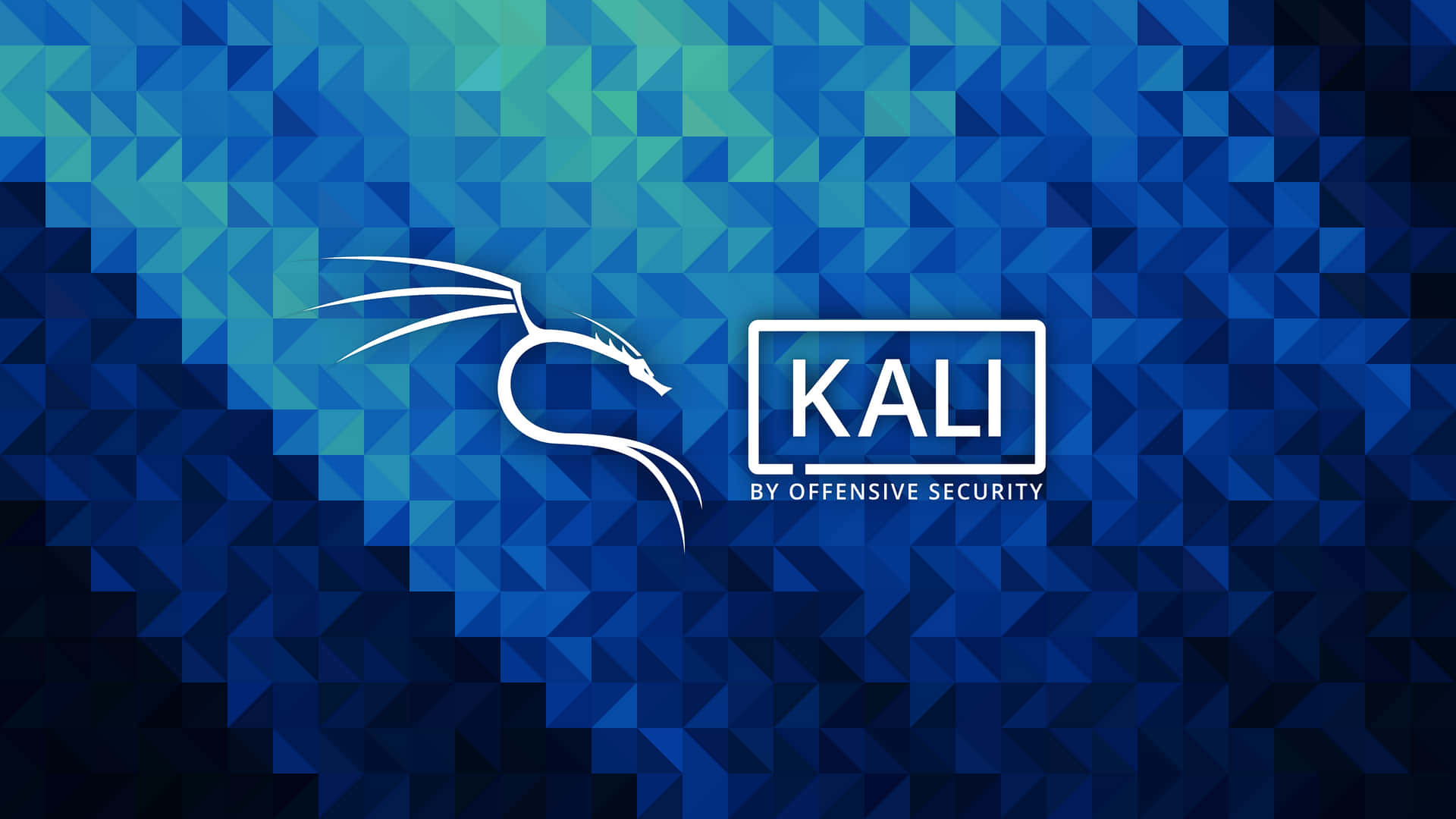 "Securing Your Network with Kali Linux"