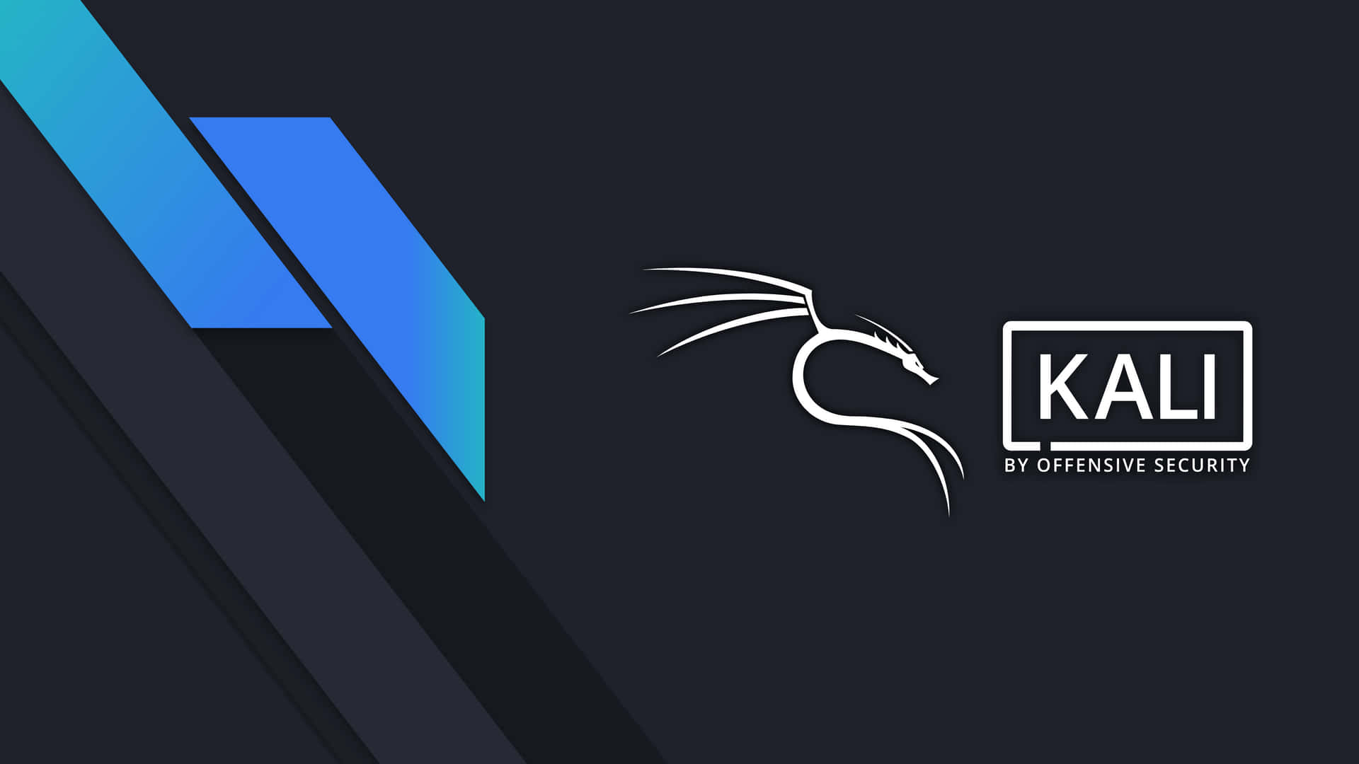 Discover the power of Kali Linux
