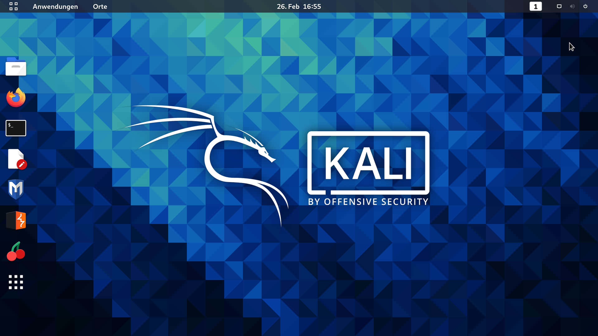 Bildervon Kali Linux
