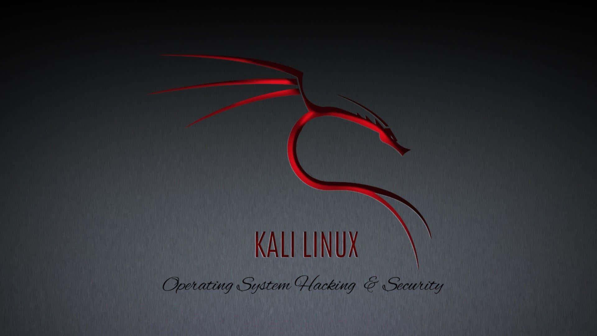 Kali Linux-billeder 1920 X 1080