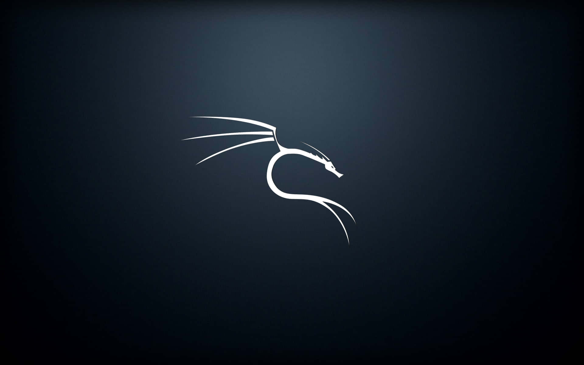 Kali Linux-billeder 2560 X 1600
