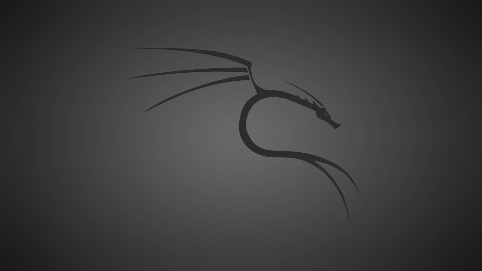 Kali Linux Black Dragon Background