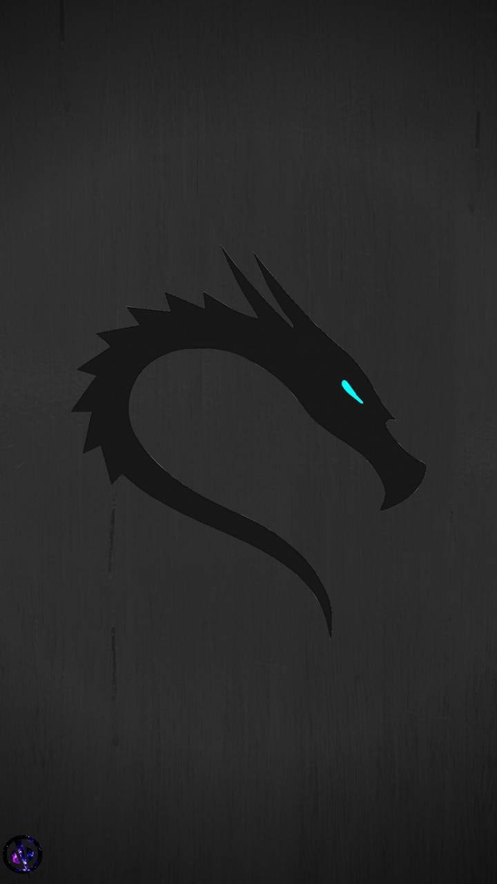 Kali Linux Blue Eyed Dragon Background