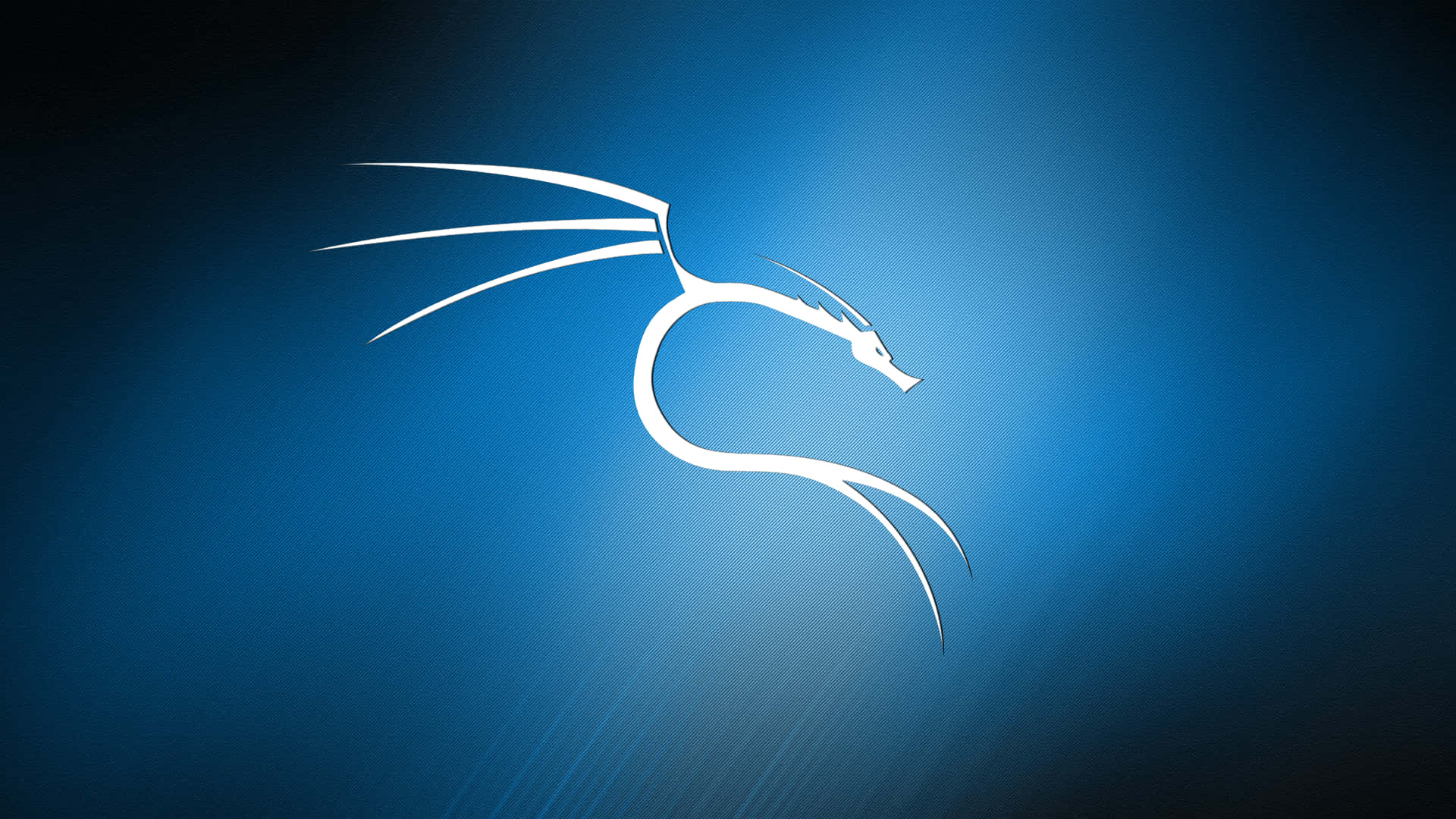 Kali Linux Interface - The Hacker's Choice